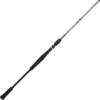 CANNE CASTING BFT RAPTOR G2 JERKBAIT