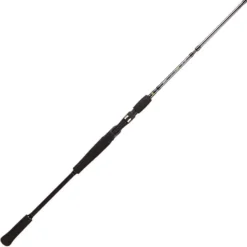 CANNE CASTING BFT RAPTOR G2 JERKBAIT