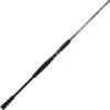 CANNE CASTING BFT RAPTOR G2 SWIMBAIT
