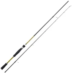 CANNE SPINNING CRONY TIGER ROAR