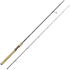 CANNE SPINNING EFFZETT FINE LINE