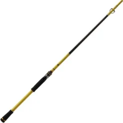 CANNE SPINNING MAJOR CRAFT BENKEI FRANCE LIMITED EDITION 1+1