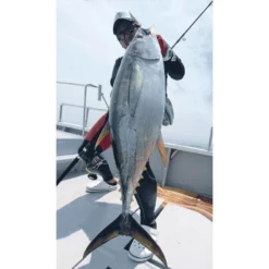 CANNE SPINNING TAILWALK KUROSHIO OC 80H -Savage Gear || Westin || FOX RAGE Soldes canne spinning tailwalk kuroshio oc 80h z 2718 271894 3