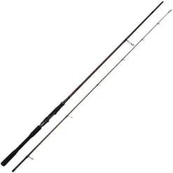 CANNE SPINNING WESTIN W4 POWERTEEZ 2ND