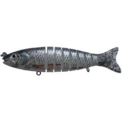 LEURRE COULANT BC LURES SEGMENT TROUT 22CM