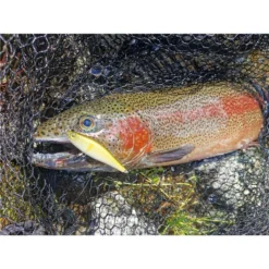 LEURRE COULANT STUCKI FISHING FANATICS QUARRY 80FS - 8CM -Savage Gear || Westin || FOX RAGE Soldes leurre coulant stucki fishing fanatics quarry 80fs 8cm z 2739 273978 3