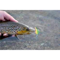 LEURRE COULANT STUCKI FISHING JS POCKET 45S - 4.5CM -Savage Gear || Westin || FOX RAGE Soldes leurre coulant stucki fishing js pocket 45s 45cm z 2739 273984 3