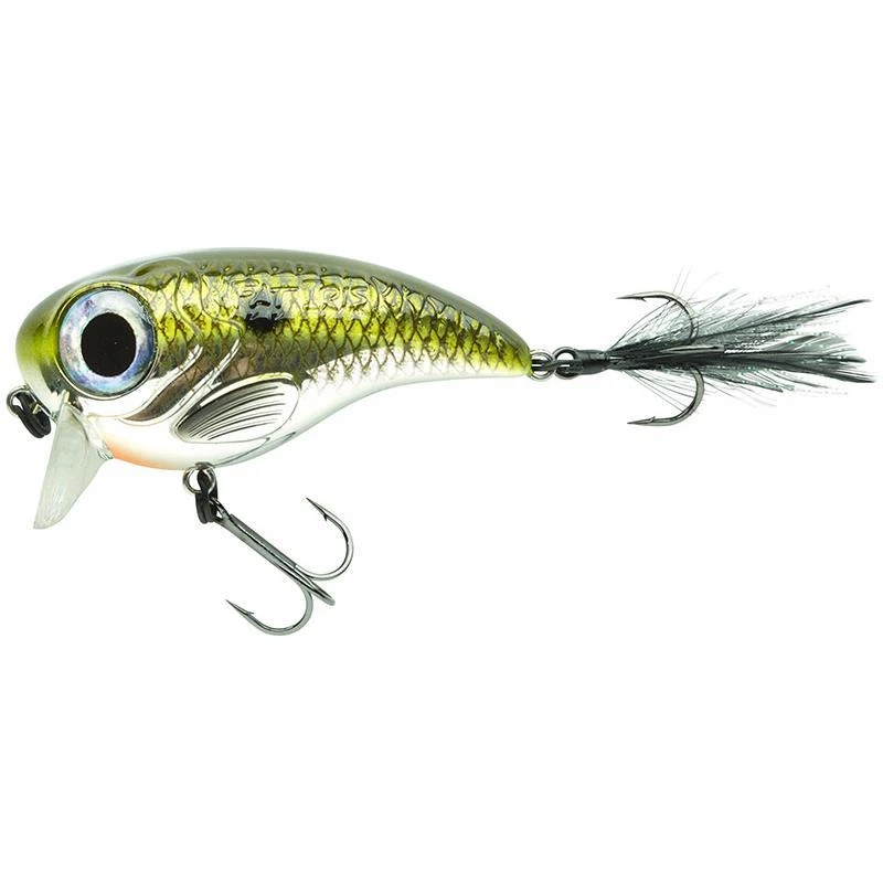 LEURRE FLOTTANT SPRO FAT IRIS 60 - 6CM 1 LEURRE FLOTTANT SPRO FAT IRIS 60 - 6CM
