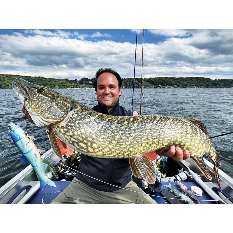 LEURRE SOUPLE ARMÉ FISHING GHOST RENKY ONE - 18CM 2 LEURRE SOUPLE ARMÉ FISHING GHOST RENKY ONE - 18CM – Image 2