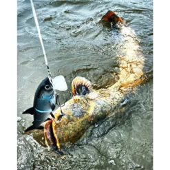 LEURRE SOUPLE ARMÉ FISHING GHOST RENKY ONE - 25CM 9 LEURRE SOUPLE ARMÉ FISHING GHOST RENKY ONE - 25CM -Savage Gear || Westin || FOX RAGE Soldes leurre souple arme fishing ghost renky one 25cm z 2450 245059 4