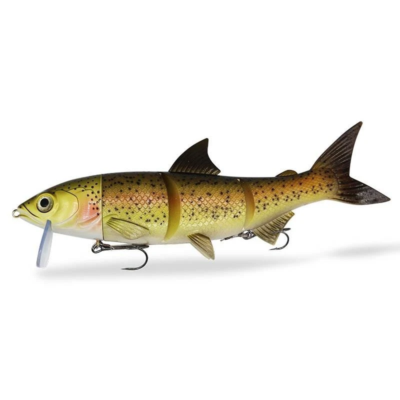LEURRE SOUPLE ARMÉ FISHING GHOST RENKY ONE - 25CM 1 LEURRE SOUPLE ARMÉ FISHING GHOST RENKY ONE - 25CM