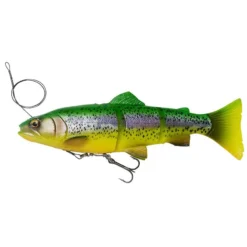 LEURRE SOUPLE ARME SAVAGE GEAR 4D LINE THRU TROUT - 15CM