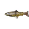 LEURRE SOUPLE ARME SAVAGE GEAR 4D LINE THRU TROUT - 25CM