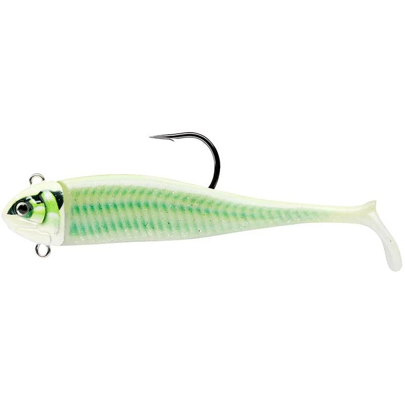 LEURRE SOUPLE ARMÉ STORM 360GT COASTAL BISCAY DEEP MINNOW - 16CM 1 LEURRE SOUPLE ARMÉ STORM 360GT COASTAL BISCAY DEEP MINNOW - 16CM