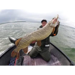 LEURRE SOUPLE HOSTAGEVALLEY SHAD - 14CM -Savage Gear || Westin || FOX RAGE Soldes leurre souple hostagevalley shad 14cm z 2479 247909 4