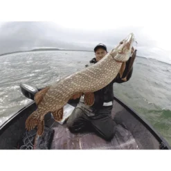 LEURRE SOUPLE HOSTAGEVALLEY SHAD - 18CM -Savage Gear || Westin || FOX RAGE Soldes leurre souple hostagevalley shad 18cm z 2479 247971 4