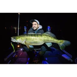 LEURRE SOUPLE MONKEY LURES KING LUI - 10CM - PAR 5 -Savage Gear || Westin || FOX RAGE Soldes leurre souple monkey lures king lui 10cm par 5 z 2449 244935 6