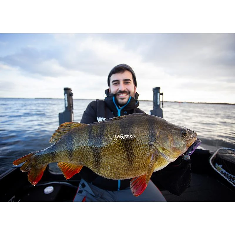 LEURRE SOUPLE MONKEY LURES KING LUI - 14CM - PAR 4 3 LEURRE SOUPLE MONKEY LURES KING LUI - 14CM - PAR 4 – Image 3