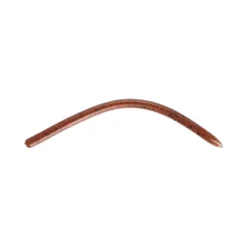 LEURRE SOUPLE REINS SWAMP MINI 10CM - PACK