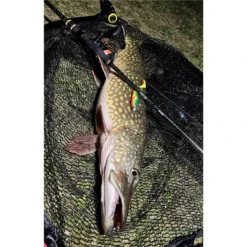 LEURRE SOUPLE STUCKI FISHING REAL RIDER FISH TAIL - 7CM - PAR 6 9 LEURRE SOUPLE STUCKI FISHING REAL RIDER FISH TAIL - 7CM - PAR 6 -Savage Gear || Westin || FOX RAGE Soldes leurre souple stucki fishing real rider fish tail 7cm par 6 z 2739 273991 4