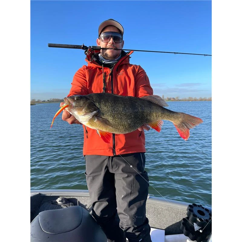 LEURRE SOUPLE STUCKI FISHING REAL RIDER FISH TAIL - 7CM - PAR 6 6 LEURRE SOUPLE STUCKI FISHING REAL RIDER FISH TAIL - 7CM - PAR 6 – Image 6