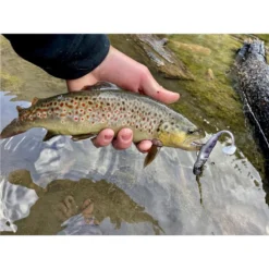 LEURRE SOUPLE STUCKI FISHING REAL RIDER PADDLE TAIL - 7CM - PAR 6 -Savage Gear || Westin || FOX RAGE Soldes leurre souple stucki fishing real rider paddle tail 7cm par 6 z 2739 273992 4